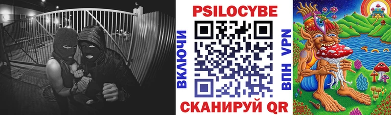 Галлюциногенные грибы ЛСД  blacksprut зеркало  Холмск  продажа наркотиков 